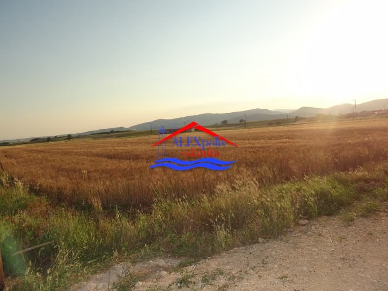 Αγροτεμάχιο στην Δωρικό, Τραϊανούπολη — Φωτογραφία 6 από 18