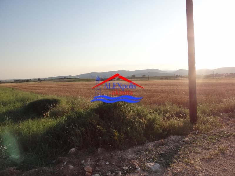 Αγροτεμάχιο στην Δωρικό, Τραϊανούπολη — Φωτογραφία 5 από 18
