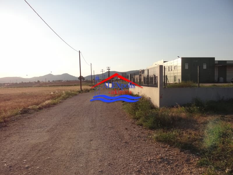 Αγροτεμάχιο στην Δωρικό, Τραϊανούπολη — Φωτογραφία 7 από 18