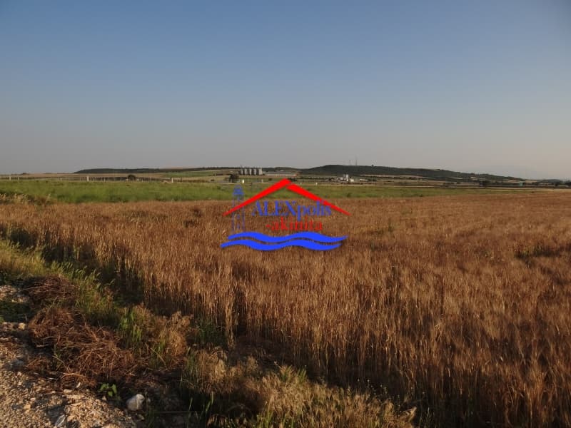 Αγροτεμάχιο στην Δωρικό, Τραϊανούπολη — Φωτογραφία 17 από 18