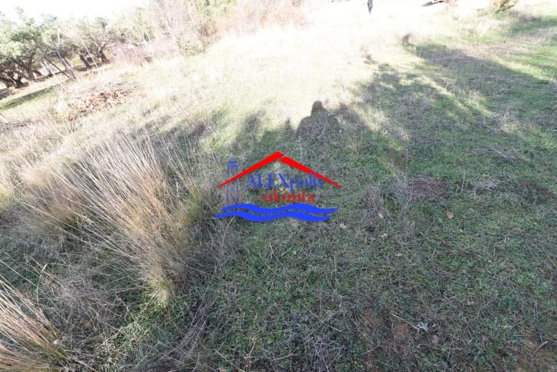Οικόπεδο στην Παλαγία, Αλεξανδρούπολη — Φωτογραφία 5 από 6