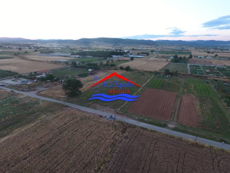 Αγροτεμάχιο στην Άγιος Νεκτάριος, Αλεξανδρούπολη — Φωτογραφία 5 από 31