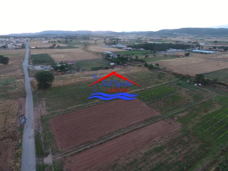 Αγροτεμάχιο στην Άγιος Νεκτάριος, Αλεξανδρούπολη — Φωτογραφία 11 από 31