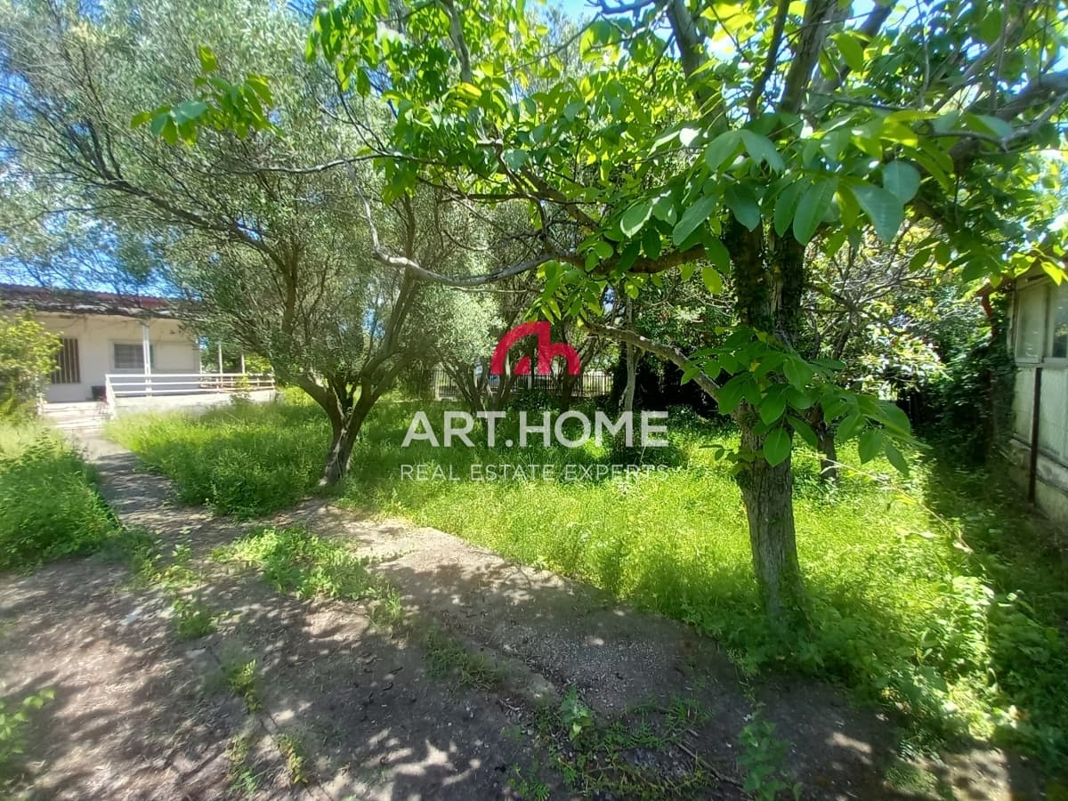 House in Paralia Neas Triglias, Triglia — Photo 11 of 18