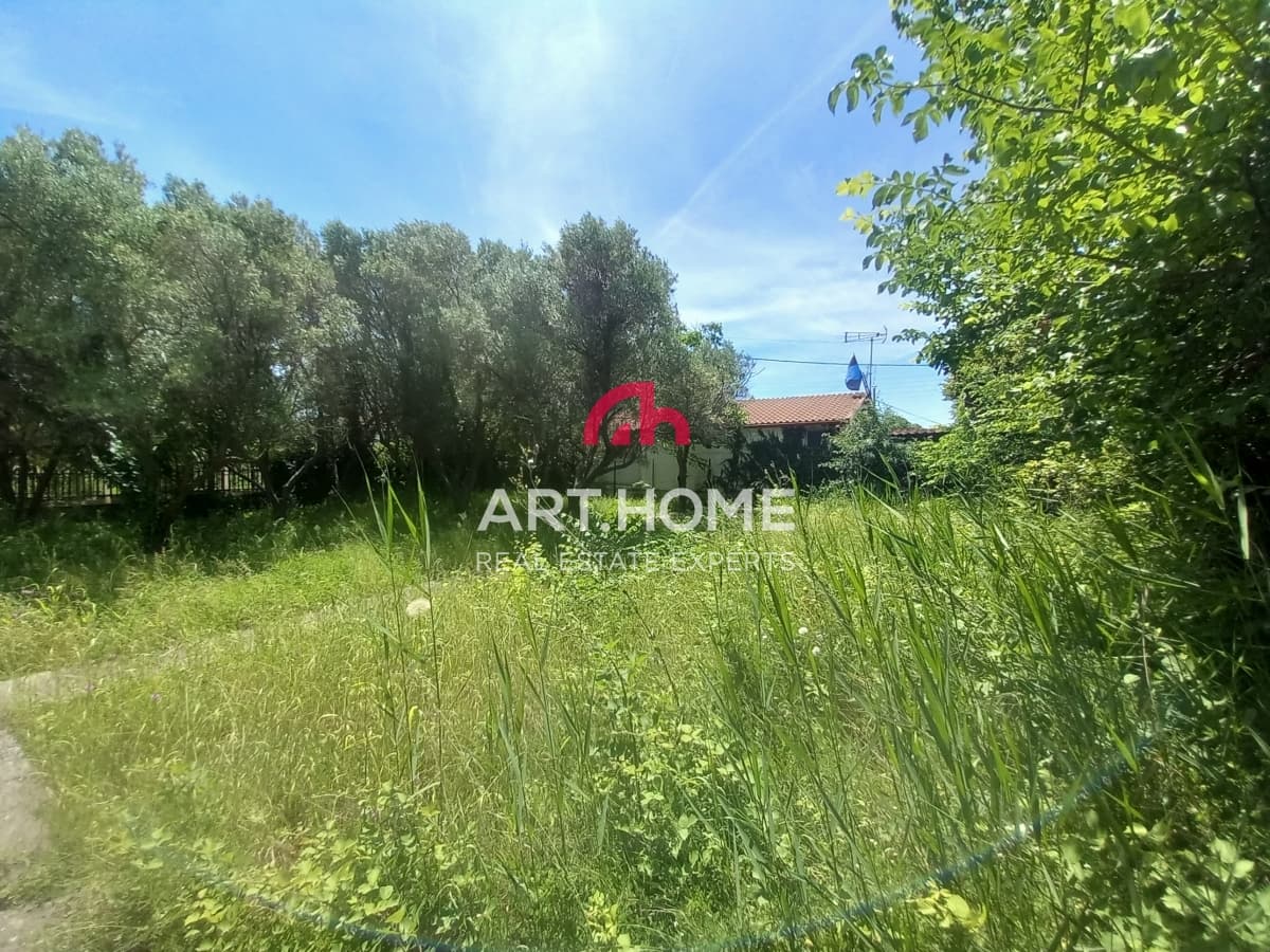 House in Paralia Neas Triglias, Triglia — Photo 14 of 18