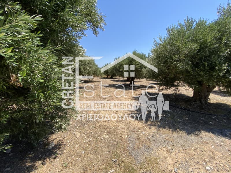 Building Plot in Xerokampos, Mallia — Photo 15 of 18