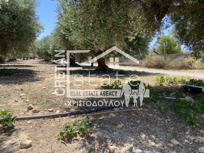 Building Plot in Xerokampos, Mallia — Photo 7 of 18