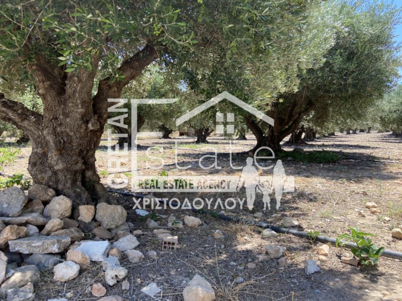 Building Plot in Xerokampos, Mallia — Photo 6 of 18