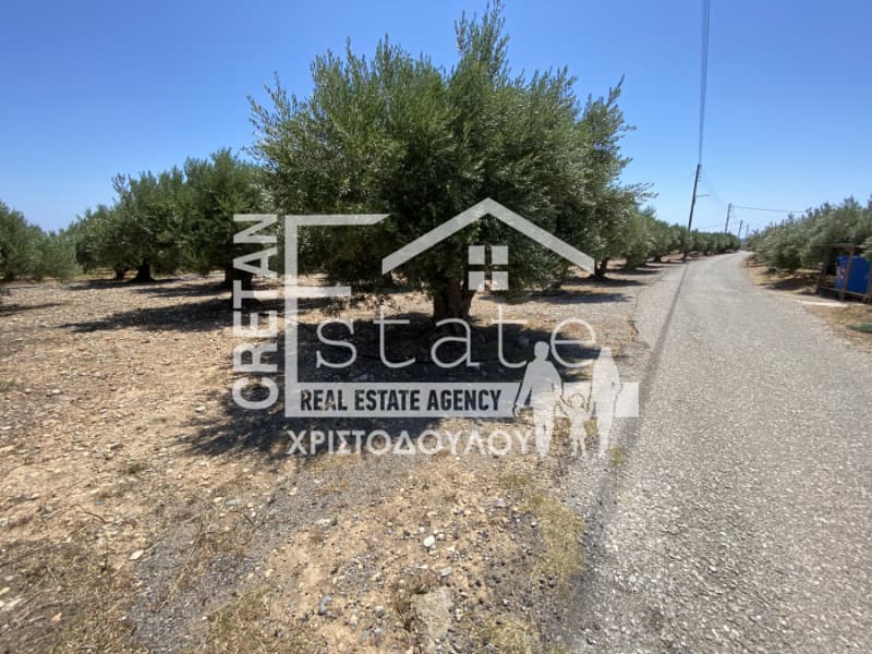 Building Plot in Xerokampos, Mallia — Photo 1 of 18