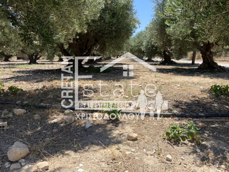 Building Plot in Xerokampos, Mallia — Photo 5 of 18