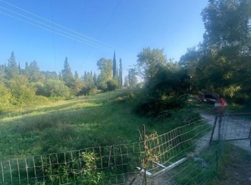 Parcel in Pareli, Corfu — Photo 4 of 8