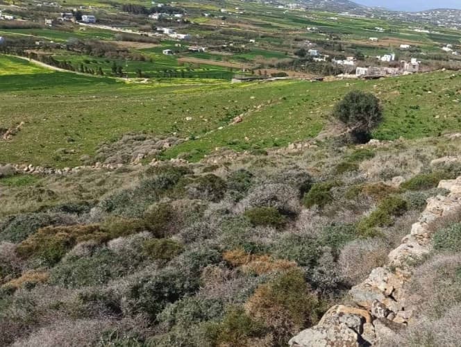 Οικόπεδο στην Μάρπησσα, Πάρος — Φωτογραφία 1 από 2