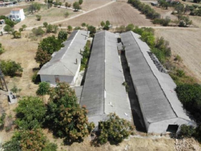 Αγροτεμάχιο στην Άβαντας, Αλεξανδρούπολη — Φωτογραφία 2 από 12