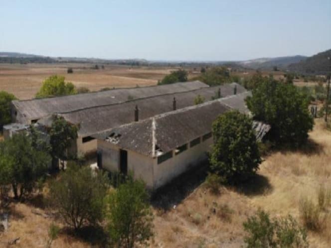 Αγροτεμάχιο στην Άβαντας, Αλεξανδρούπολη — Φωτογραφία 3 από 12