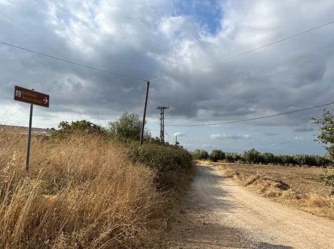 Αγροτεμάχιο στην Άβαντας, Αλεξανδρούπολη — Φωτογραφία 7 από 12