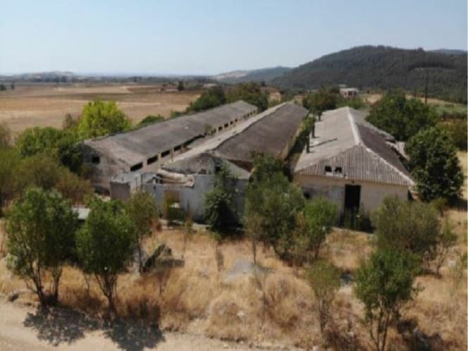 Αγροτεμάχιο στην Άβαντας, Αλεξανδρούπολη — Φωτογραφία 6 από 12