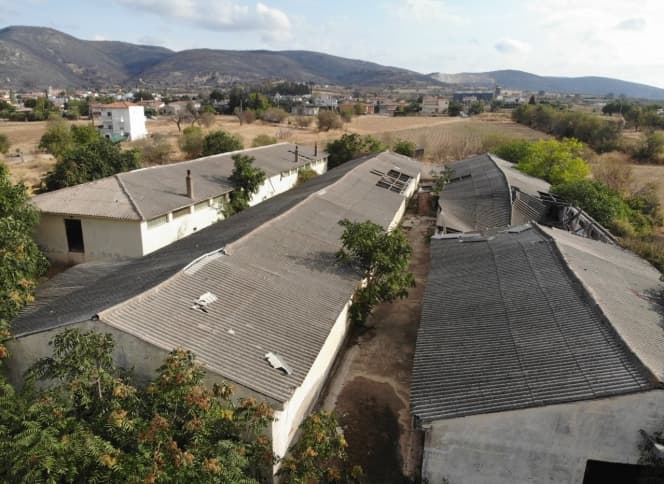 Αγροτεμάχιο στην Άβαντας, Αλεξανδρούπολη — Φωτογραφία 4 από 12
