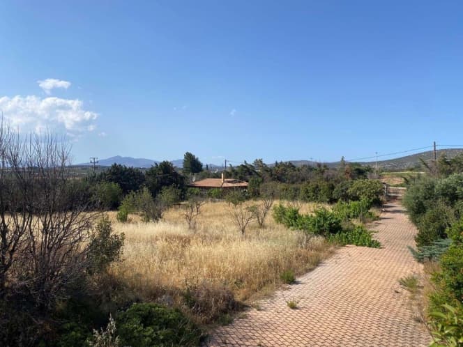 House in Limni Markopoulou, Markopoulo — Photo 11 of 16
