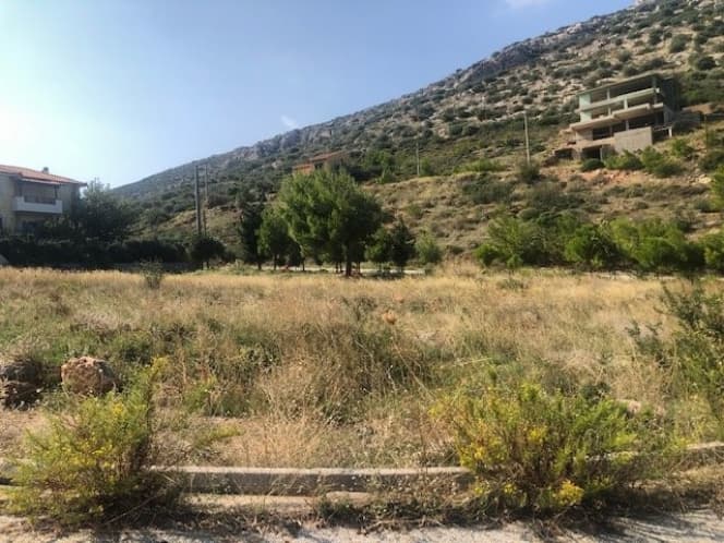Building Plot in Limni Markopoulou, Markopoulo — Photo 1 of 4