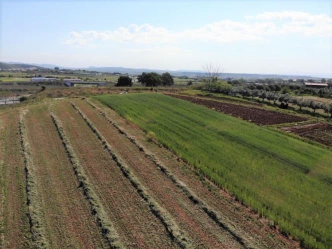 Οικόπεδο στην Παλαγία, Αλεξανδρούπολη — Φωτογραφία 2 από 5