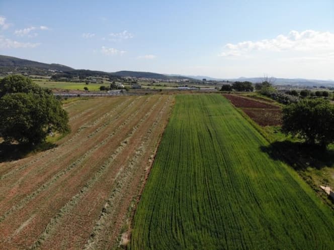 Οικόπεδο στην Παλαγία, Αλεξανδρούπολη — Φωτογραφία 1 από 5