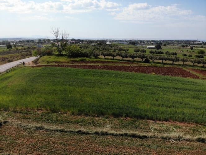 Οικόπεδο στην Παλαγία, Αλεξανδρούπολη — Φωτογραφία 5 από 5