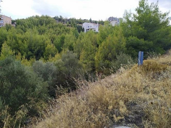 Οικόπεδο στην Δασαμάρι, Πικέρμι — Φωτογραφία 3 από 5