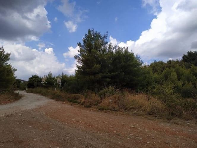 Οικόπεδο στην Δασαμάρι, Πικέρμι — Φωτογραφία 4 από 5