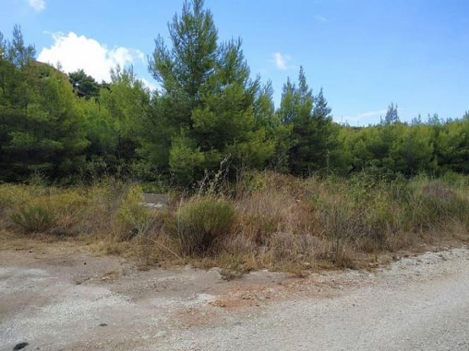 Οικόπεδο στην Δασαμάρι, Πικέρμι — Φωτογραφία 2 από 5