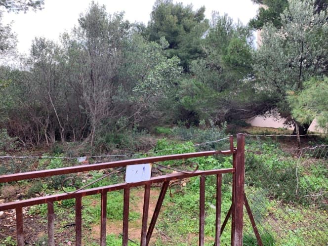 Building Plot in Proteas, Rafina — Photo 1 of 5