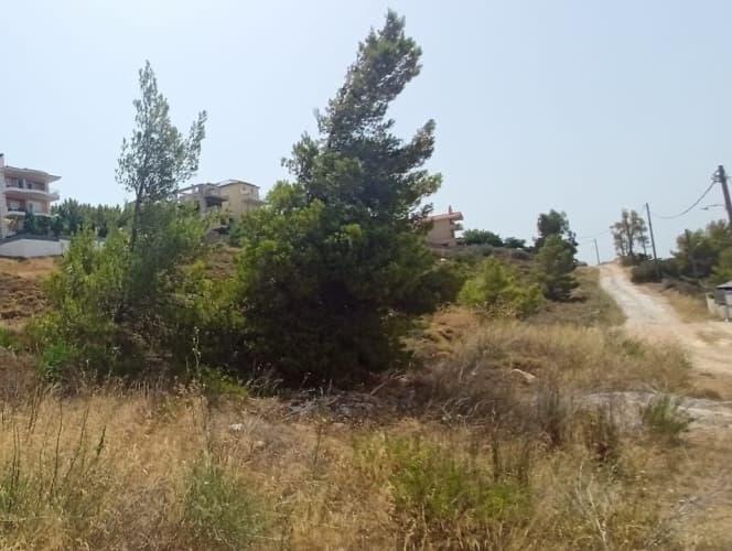 Οικόπεδο στην Δασαμάρι, Πικέρμι — Φωτογραφία 3 από 5