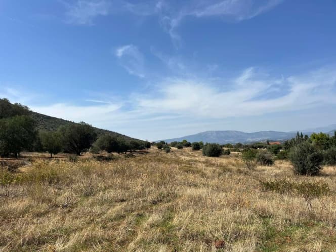 Building Plot in Limni Markopoulou, Markopoulo — Photo 1 of 7