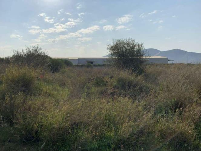 Building Plot in Center, Markopoulo — Photo 2 of 7