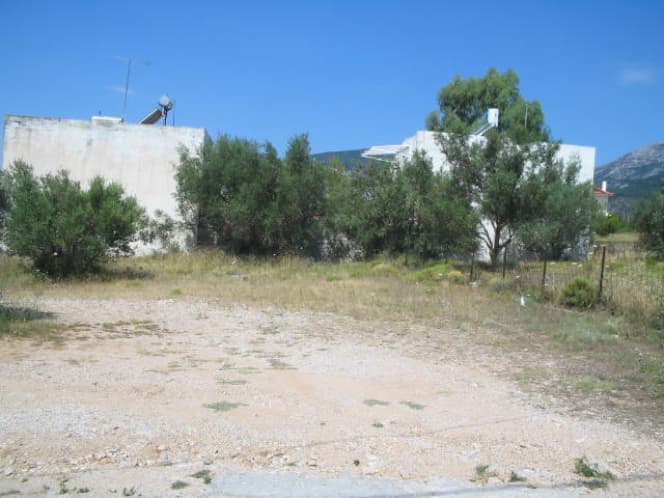 Building Plot in Megala Sxoinia A, Acharnes — Photo 2 of 5