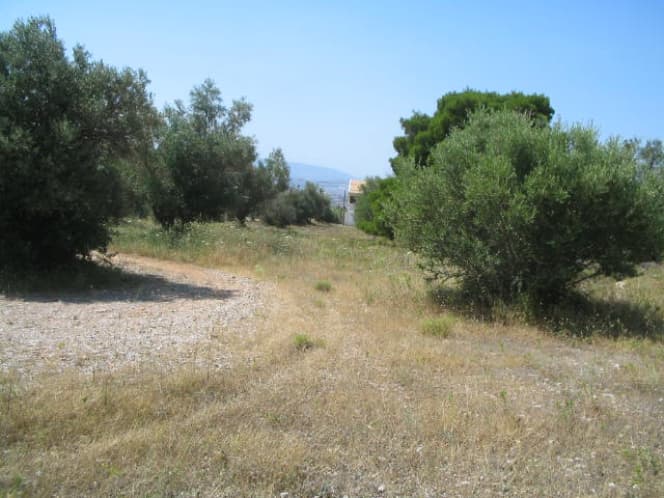 Building Plot in Megala Sxoinia A, Acharnes — Photo 1 of 5