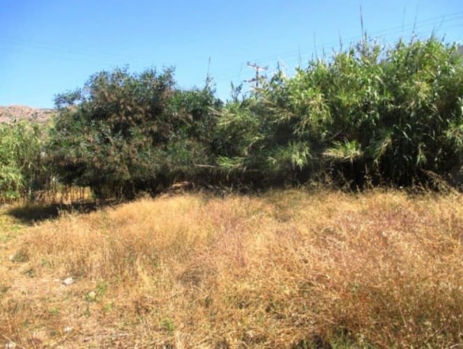 Οικόπεδο στην Καλυψώ, Σύρος — Φωτογραφία 1 από 2