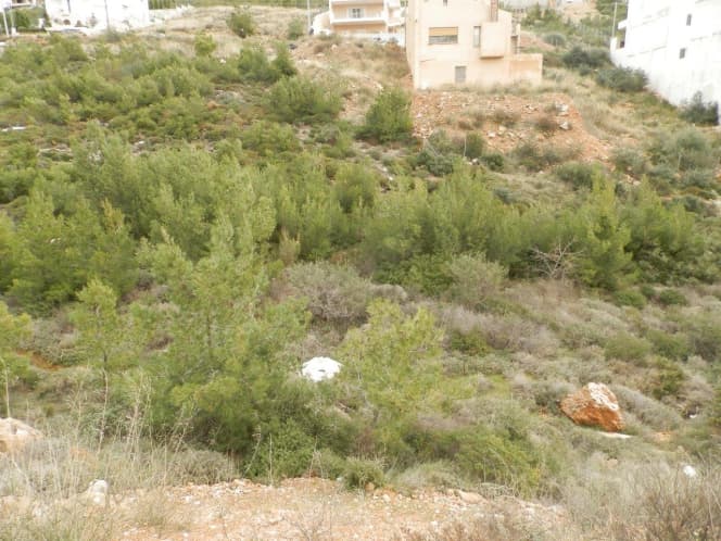 Οικόπεδο στην Δασαμάρι, Πικέρμι — Φωτογραφία 5 από 5