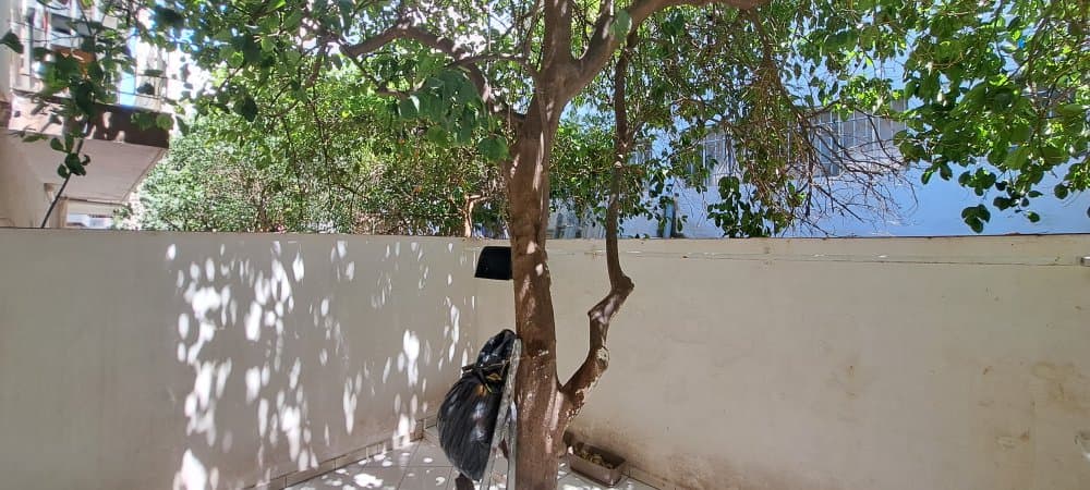 Διαμέρισμα στην Νεκροταφείο Καλλιθέας, Άγιος Δημήτριος — Φωτογραφία 6 από 6