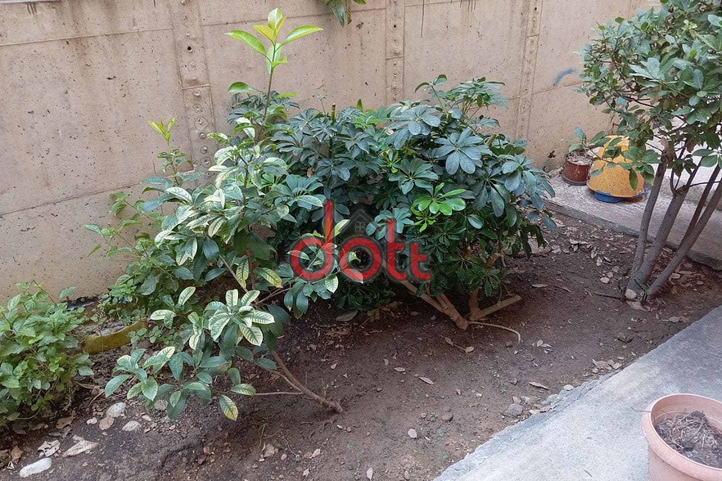 Apartment in Palataki, Chaidari — Photo 14 of 14