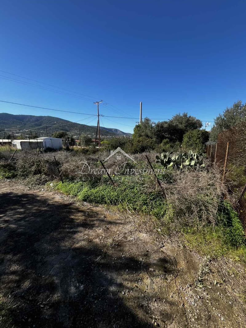 Parcel in Kaki Vigla, Salamina — Photo 4 of 17