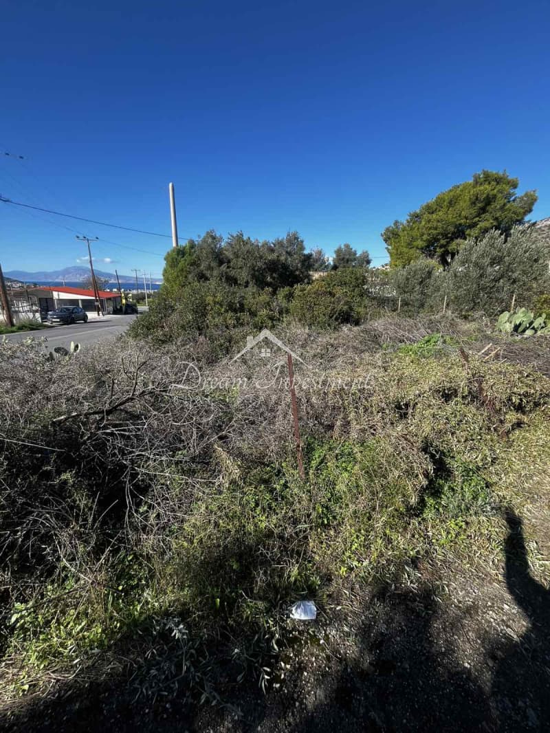 Parcel in Kaki Vigla, Salamina — Photo 17 of 17