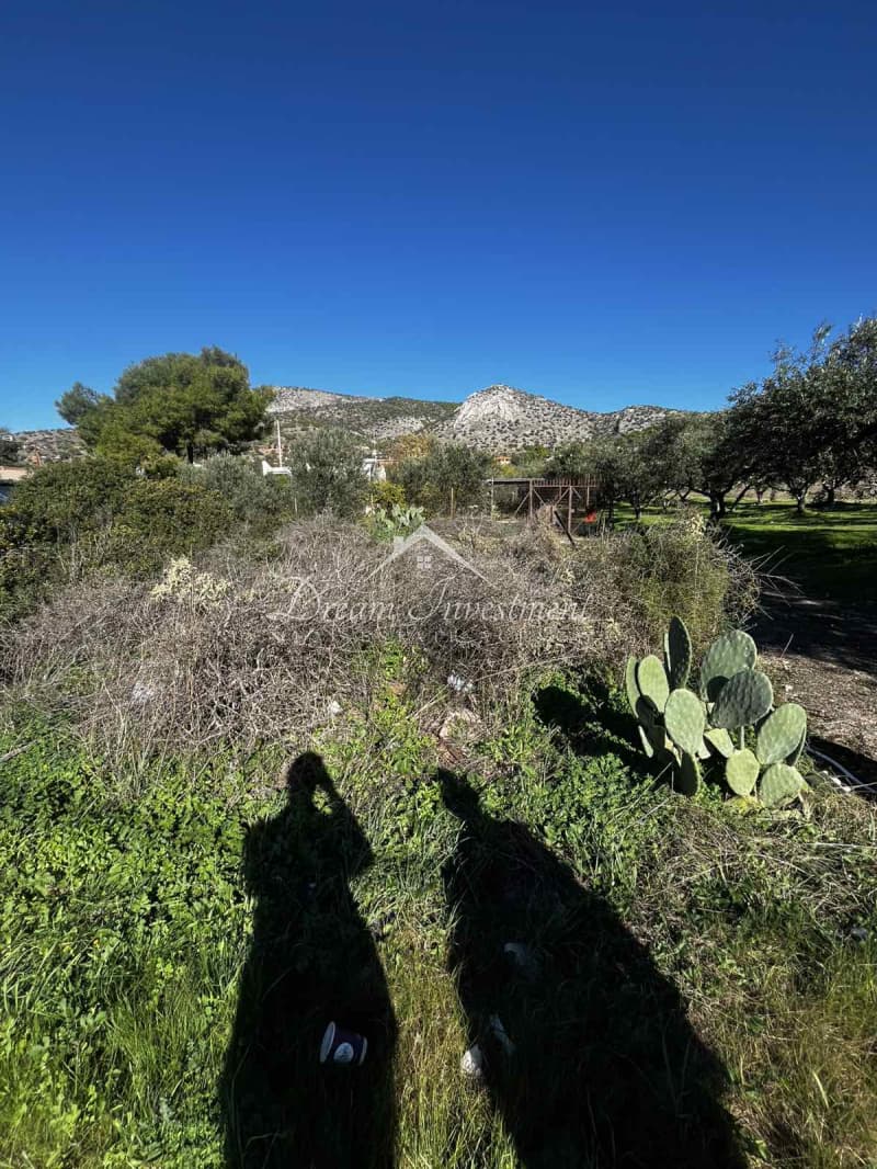 Parcel in Kaki Vigla, Salamina — Photo 11 of 17