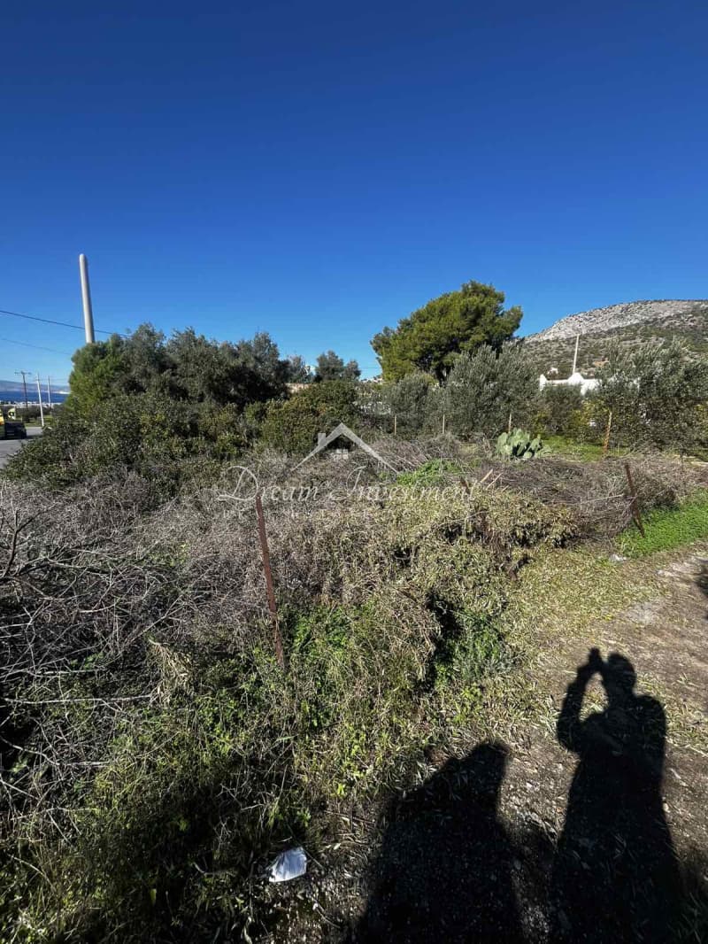 Parcel in Kaki Vigla, Salamina — Photo 15 of 17