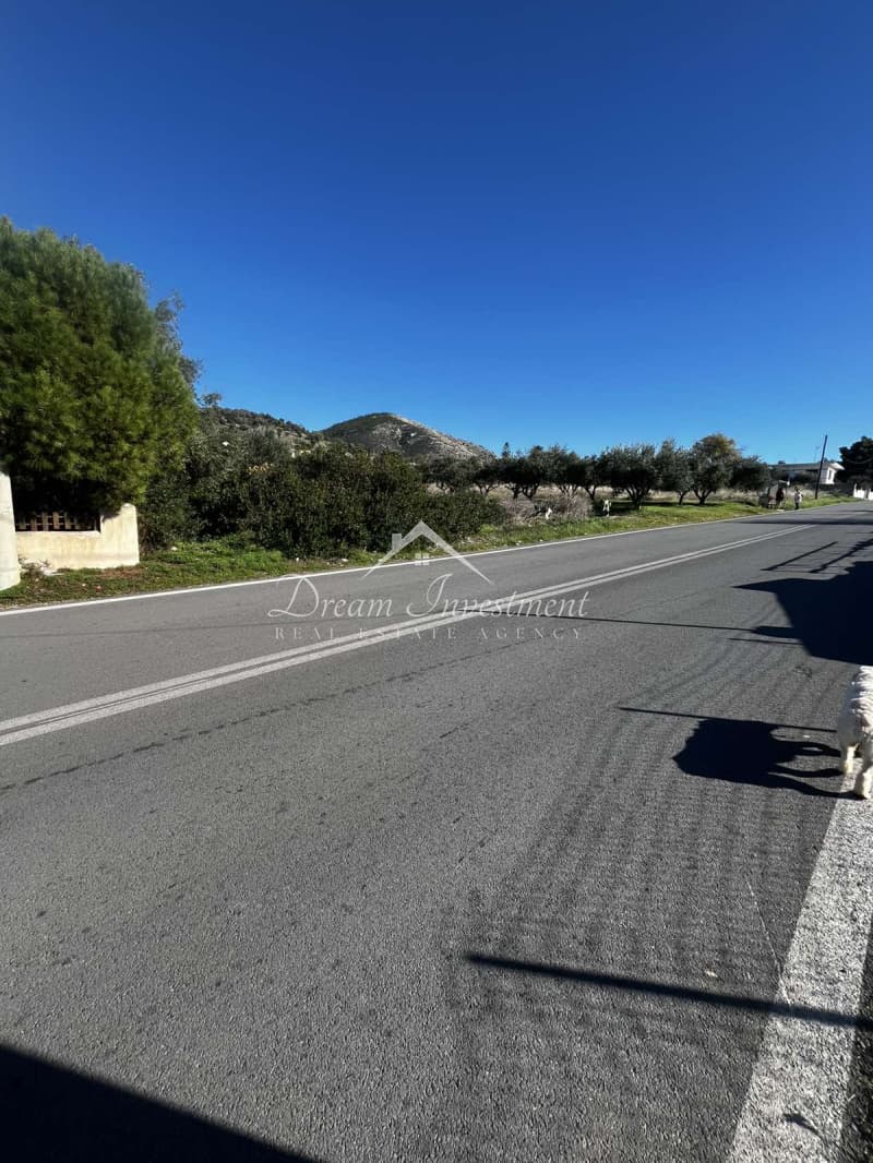 Parcel in Kaki Vigla, Salamina — Photo 1 of 17