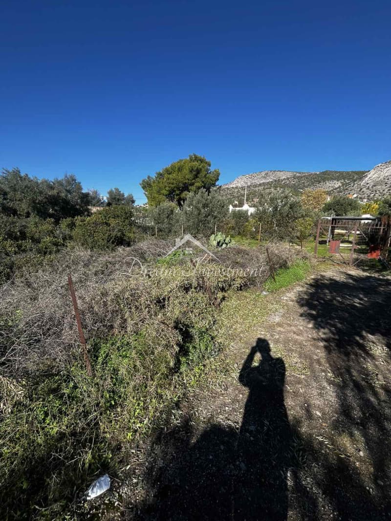 Parcel in Kaki Vigla, Salamina — Photo 16 of 17