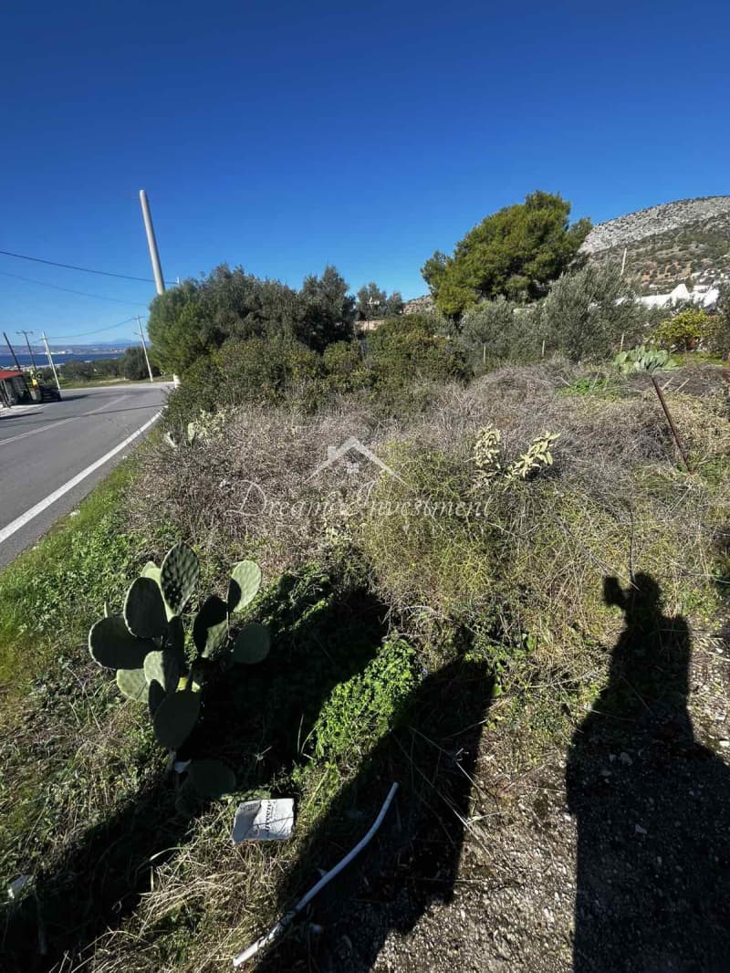 Parcel in Kaki Vigla, Salamina — Photo 13 of 17