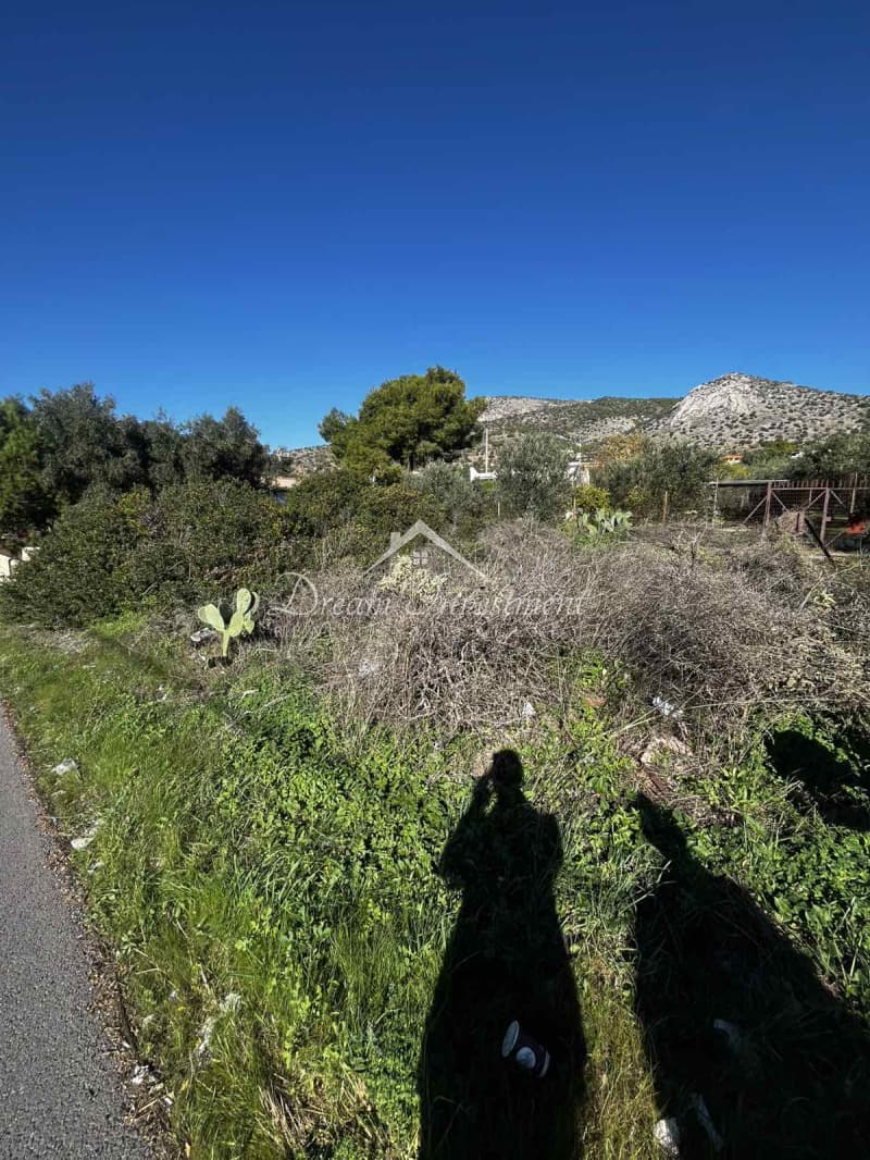 Parcel in Kaki Vigla, Salamina — Photo 10 of 17