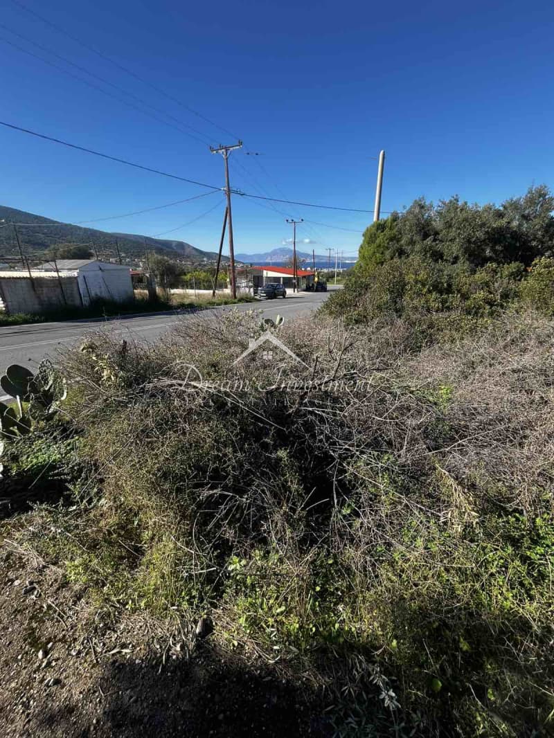 Parcel in Kaki Vigla, Salamina — Photo 14 of 17