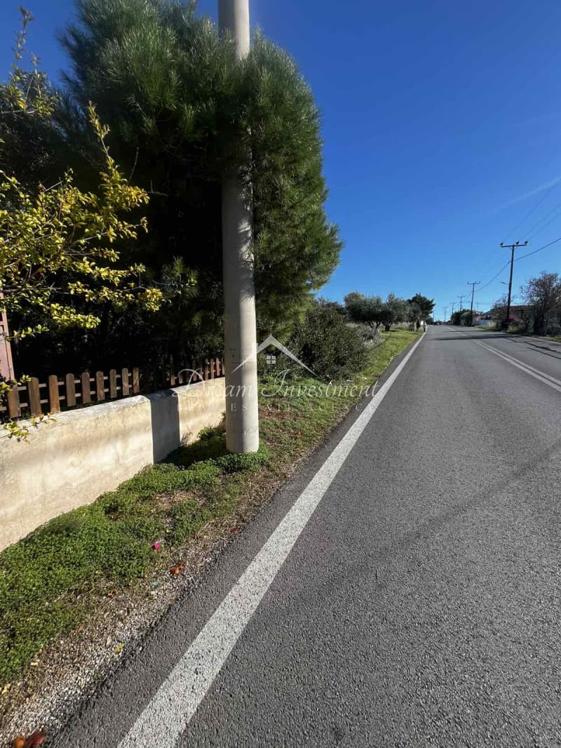Parcel in Kaki Vigla, Salamina — Photo 3 of 17