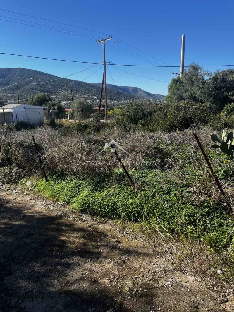 Parcel in Kaki Vigla, Salamina — Photo 5 of 17